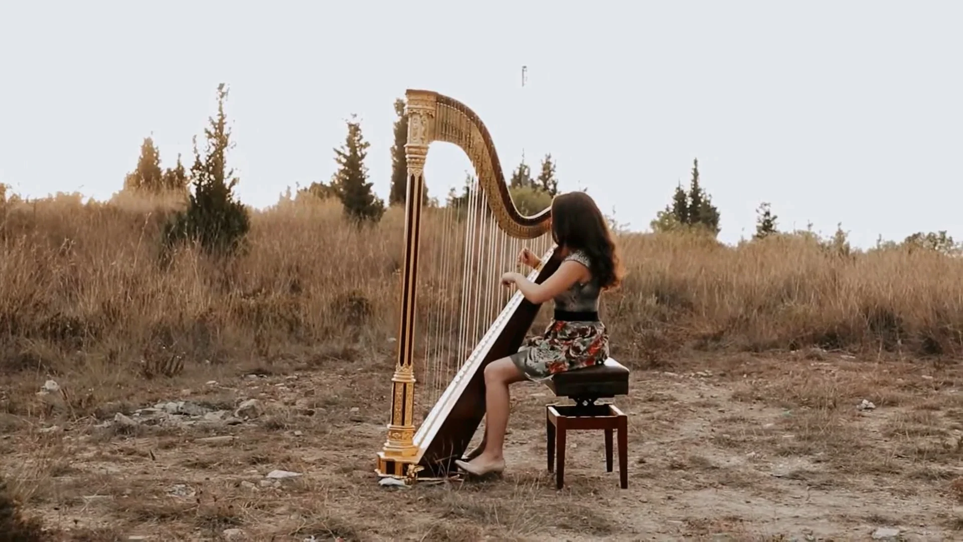Bel Bont El 3arid on Harp