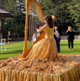 f31e9267-ffbb-46b8-b147-a37591d3f7f0